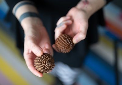 Eine Person hält mit beiden Händen jeweils einen hölzernen Igelball in die Kamera. Wir blicken von oben auf die Hände.